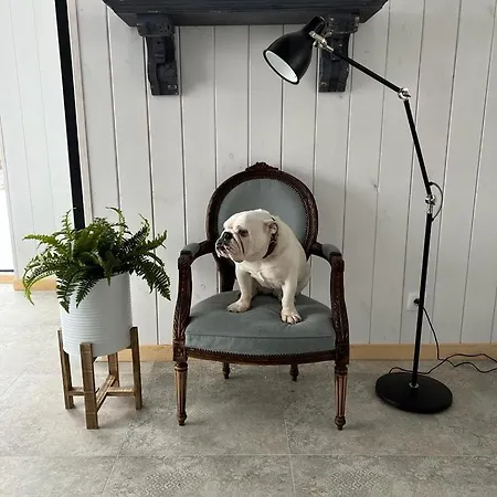 Szczurze Wzgórze Dom wakacyjny Zachelmie (Jelenia Gora)