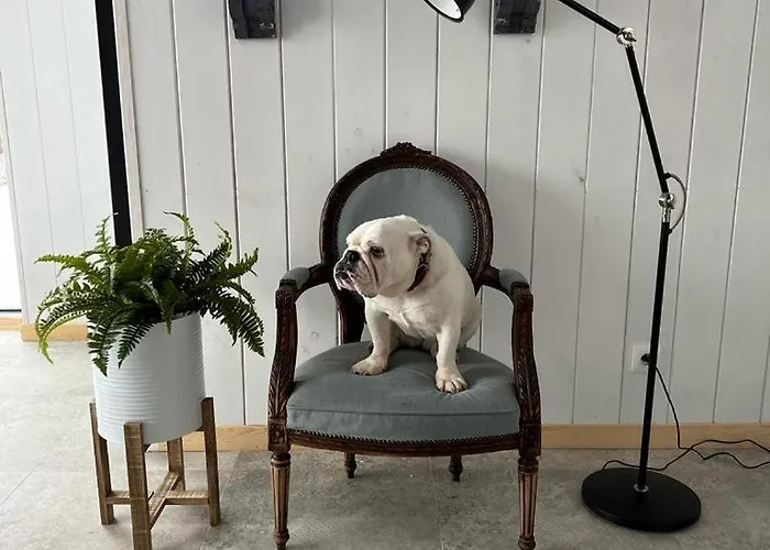 Szczurze Wzgorze Σπίτι διακοπών Zachelmie (Jelenia Gora)